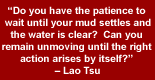 QuoteBox: 'Do you have the patience to wait until your mud settles and the water is clear?  Can you remain unmoving until the right action arises by itself?' - Lao Tsu